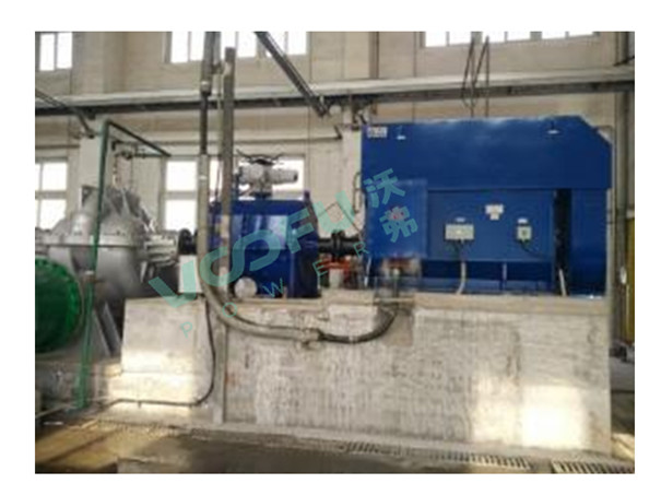 青岛炼化(循环水泵630kW/743rpm)