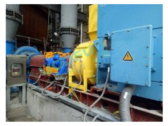 国电汉川电厂(浆液循环泵450kW/1480rpm)