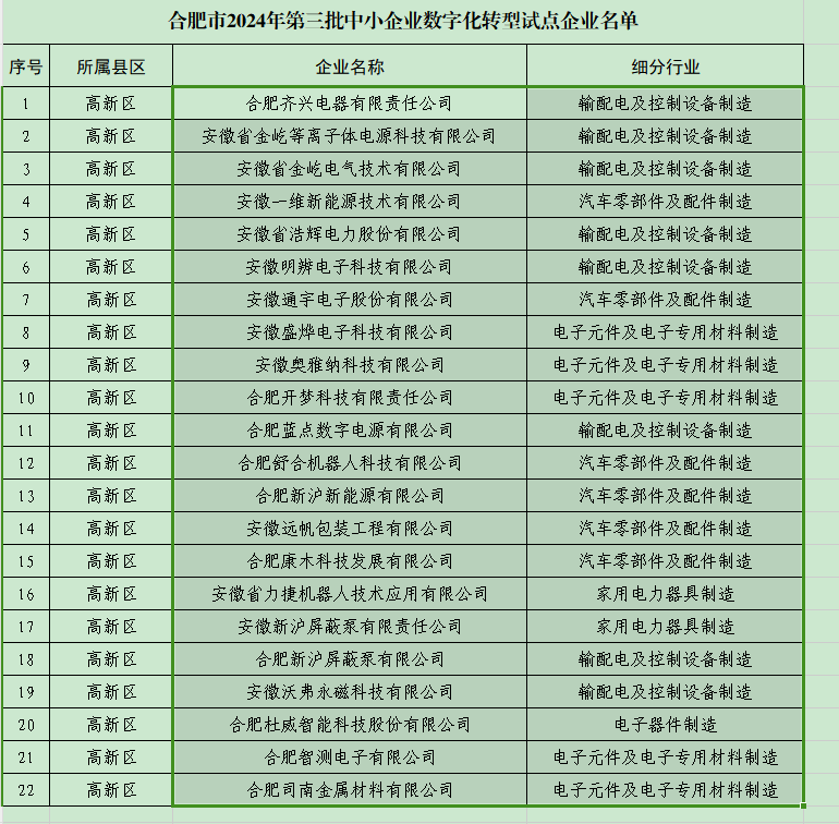 沃弗永磁坚持“数智化”发展，成功入选工信部、财政部数字化转型城市试点项目