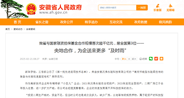 Anhui Provincial People's Government: Central-local collaboration delivers more 